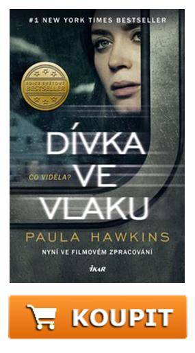 Dívka ve vlaku