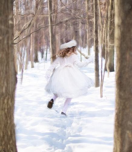 The Snow Child - KNIHCENTRUM.CZ